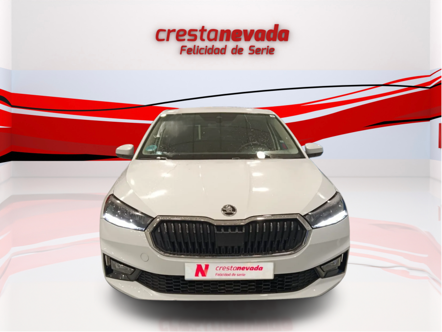 Imagen de Skoda Fabia