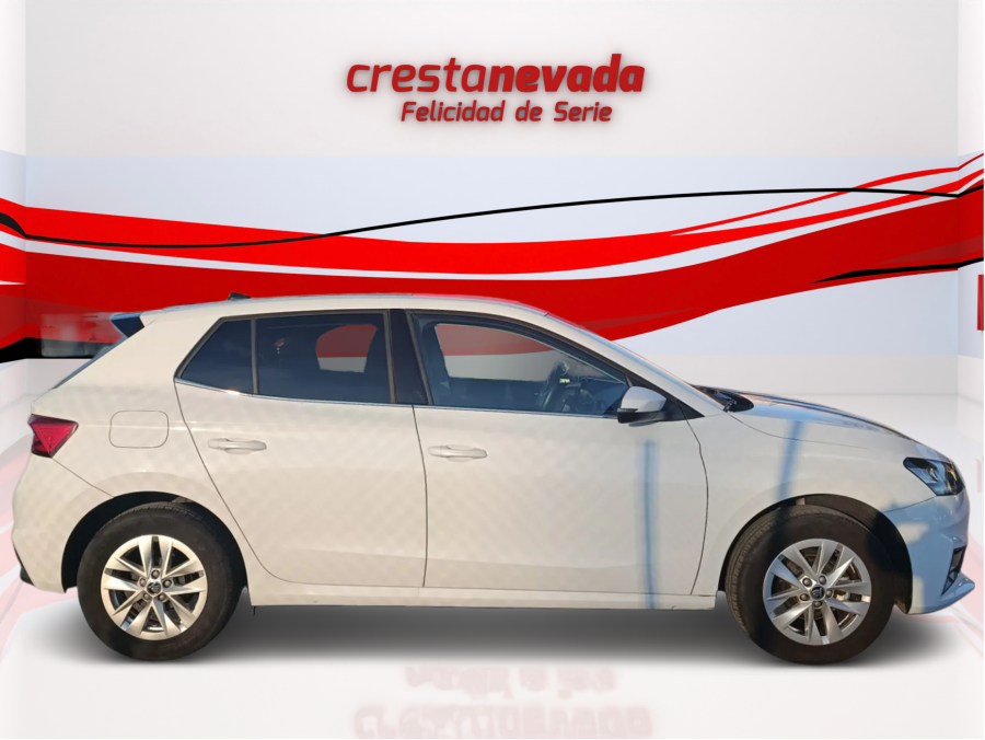 Imagen de Skoda Fabia