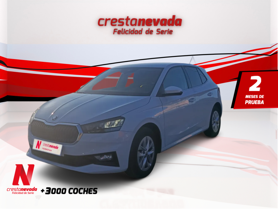 Imagen de Skoda Fabia