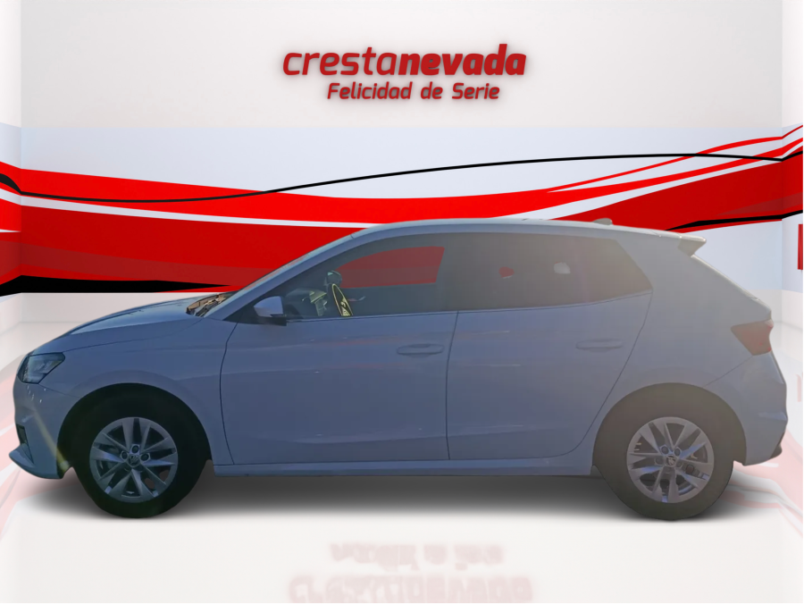 Imagen de Skoda Fabia