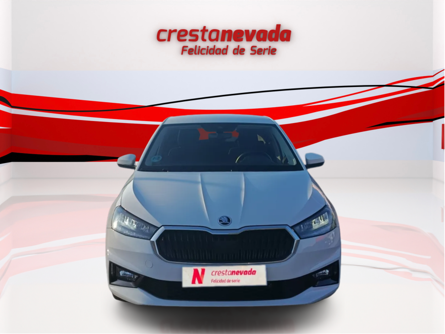 Imagen de Skoda Fabia