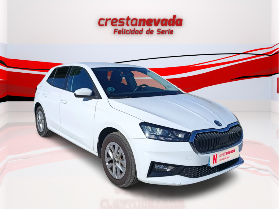 Imagen de Skoda Fabia