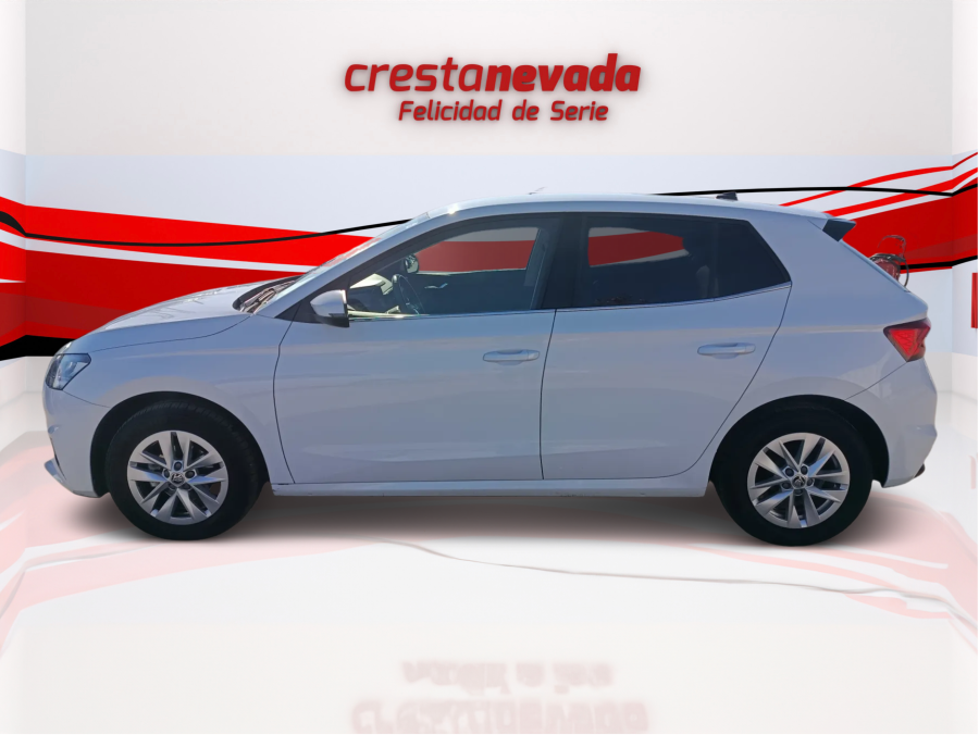 Imagen de Skoda Fabia