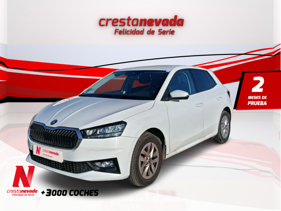 Imagen de Skoda Fabia