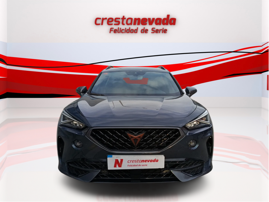 Imagen de cupra Formentor