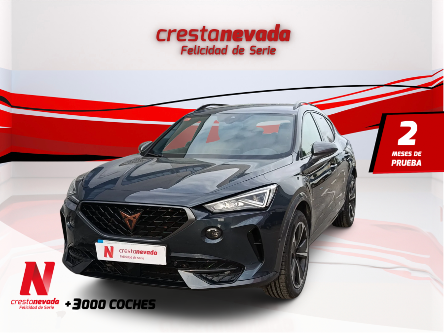 Imagen de cupra Formentor