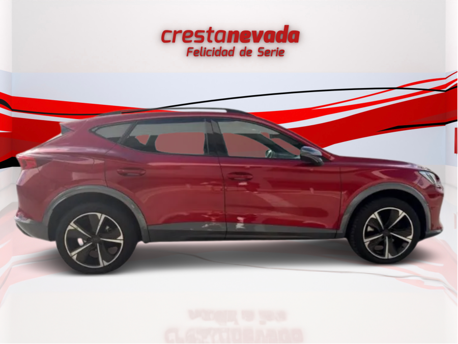 Imagen de cupra Formentor