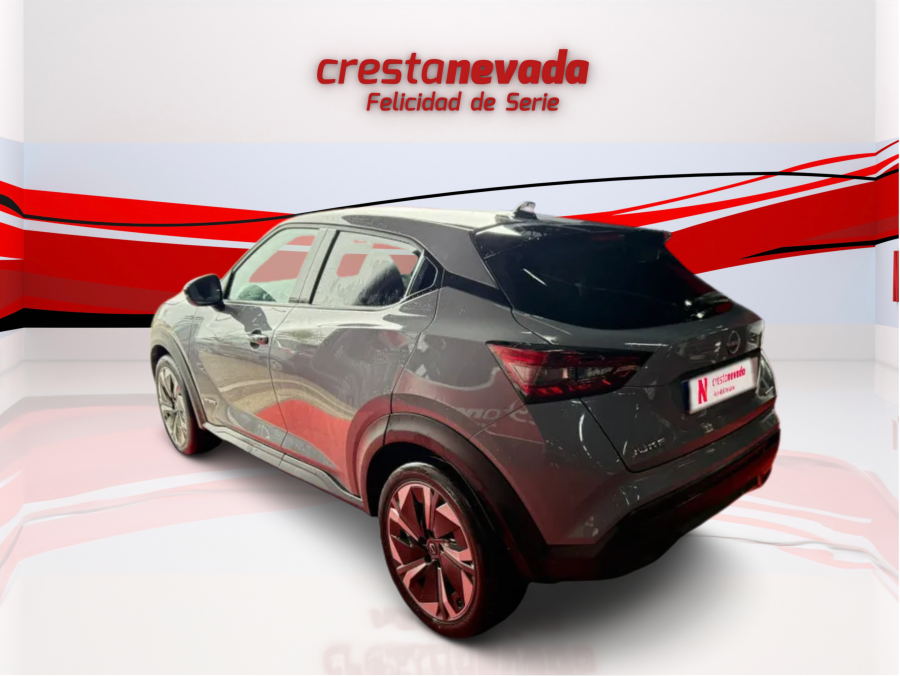 Imagen de NISSAN JUKE