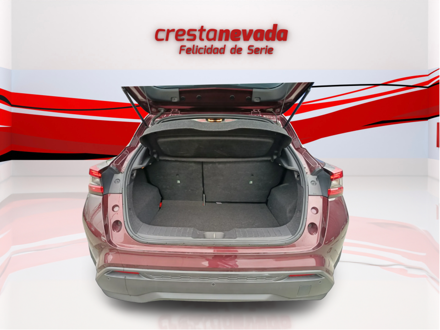 Imagen de NISSAN JUKE