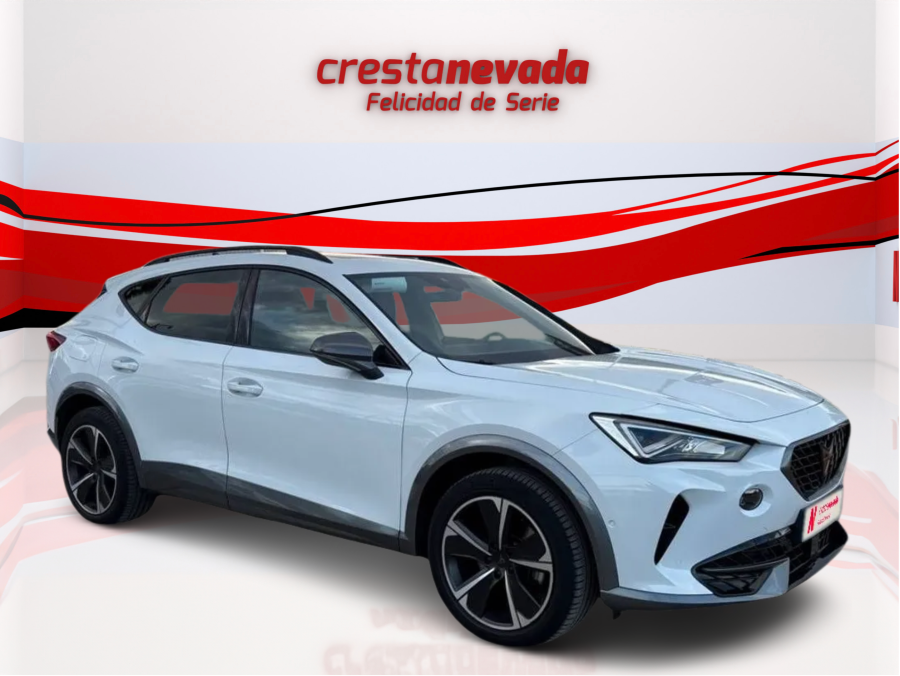 Imagen de cupra Formentor