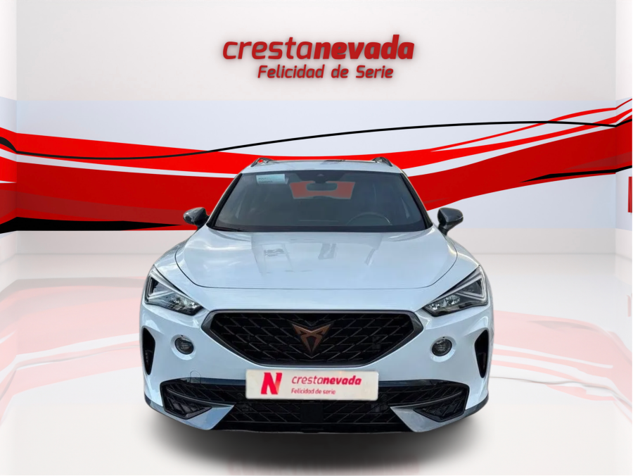 Imagen de cupra Formentor