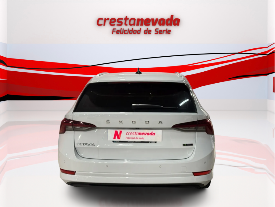 Imagen de Skoda Octavia