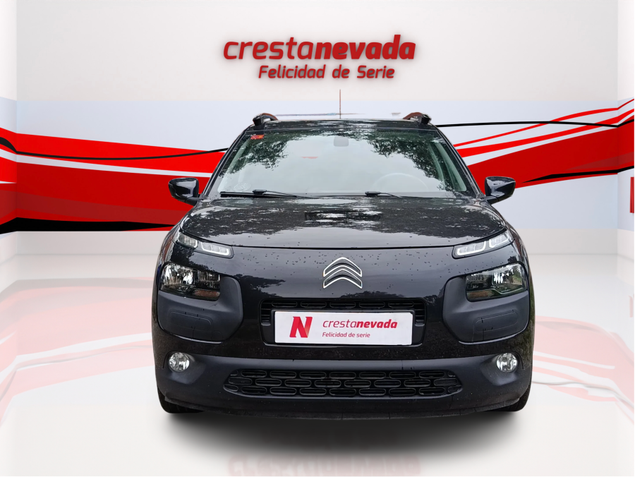 Imagen de CITROEN C4 Cactus
