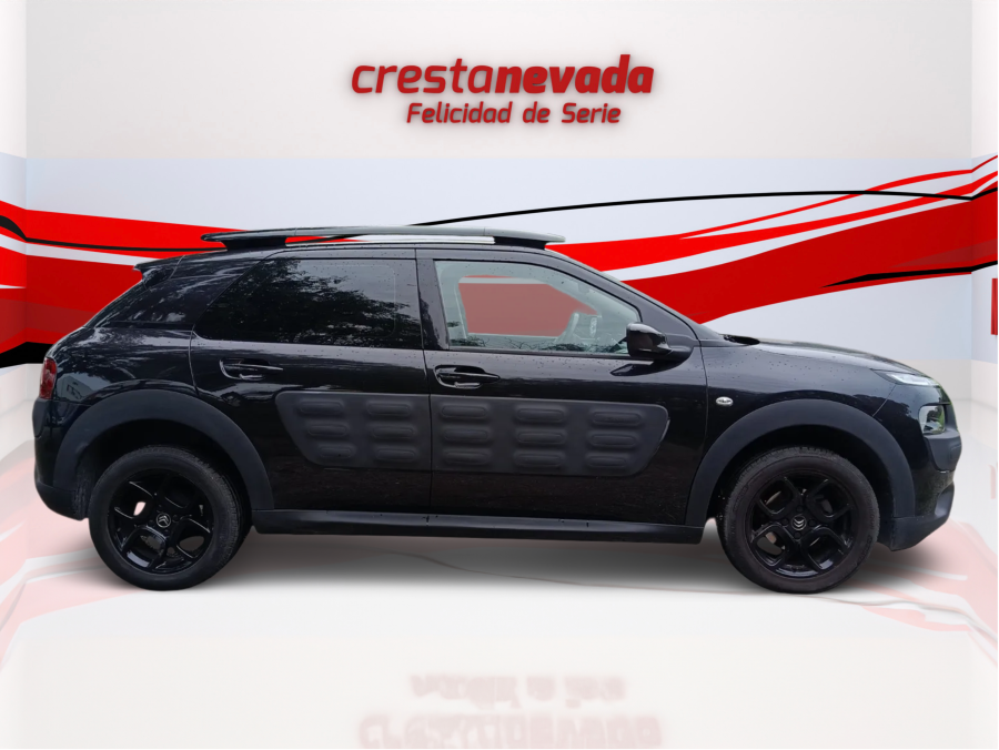 Imagen de CITROEN C4 Cactus