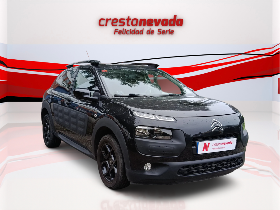 Imagen de CITROEN C4 Cactus