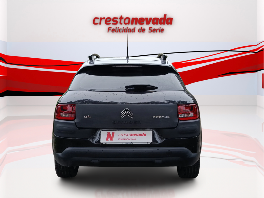 Imagen de CITROEN C4 Cactus