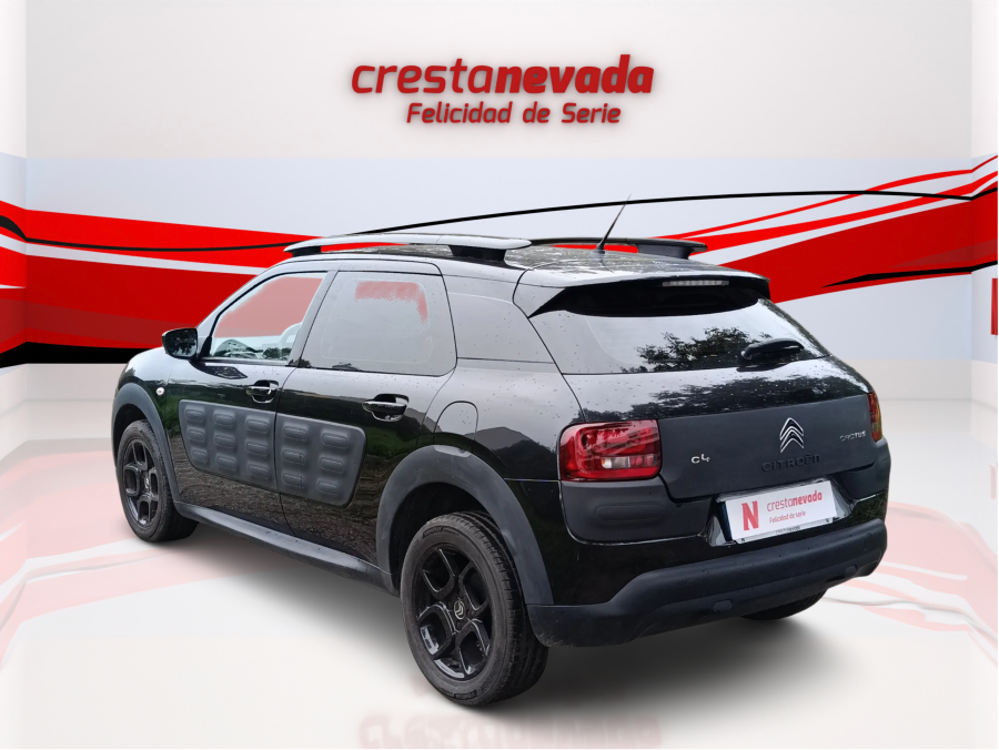 Imagen de CITROEN C4 Cactus