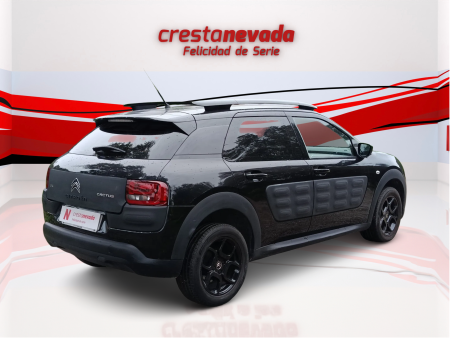 Imagen de CITROEN C4 Cactus