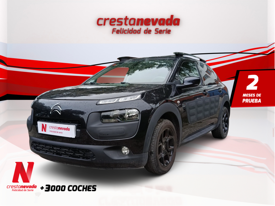 Imagen de CITROEN C4 Cactus