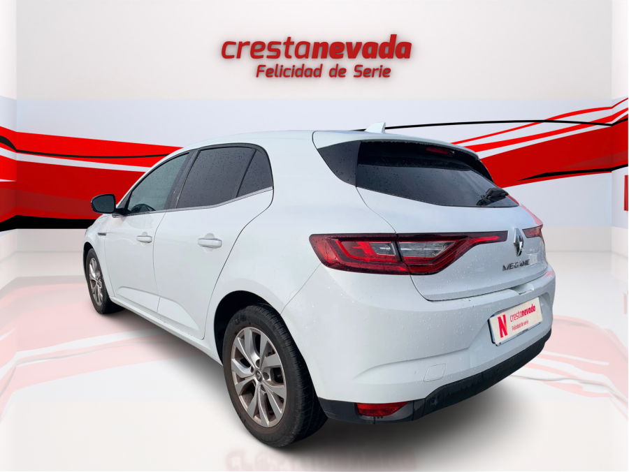 Imagen de Renault Mégane