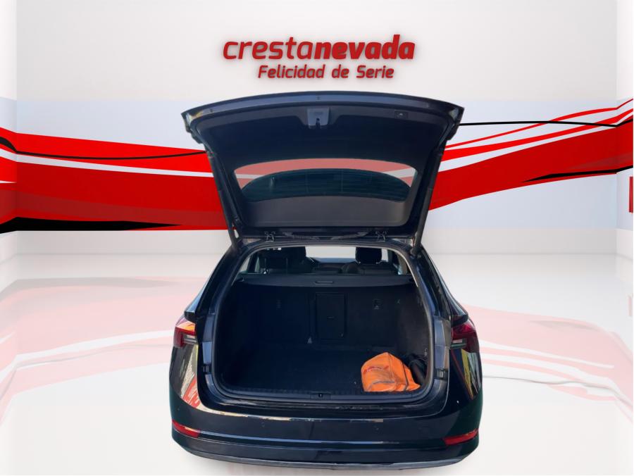 Imagen de Skoda Octavia