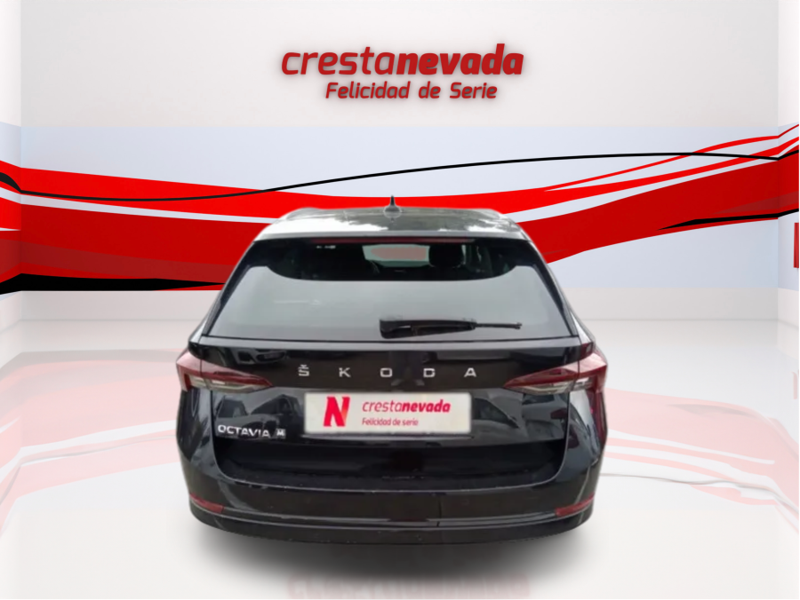 Imagen de Skoda Octavia
