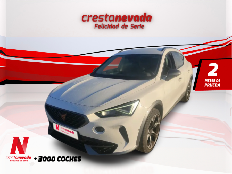 Imagen de cupra Formentor