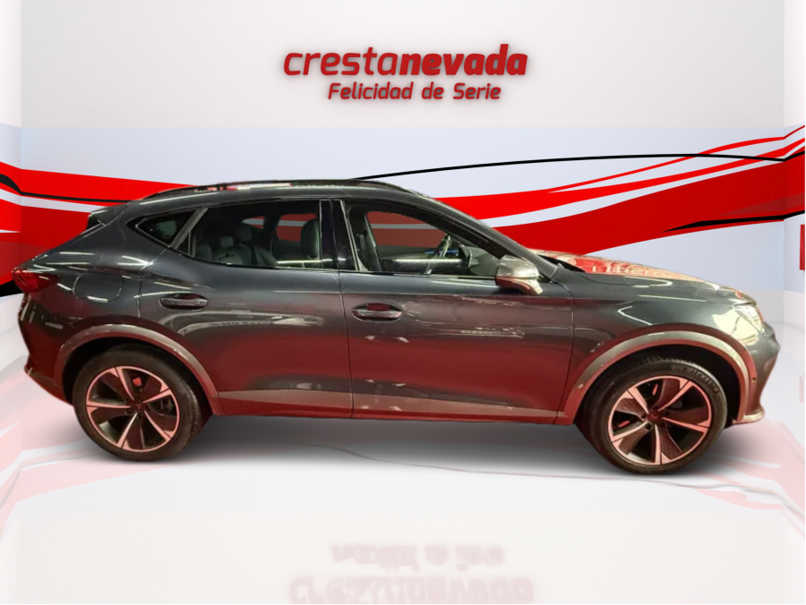 Imagen de cupra Formentor