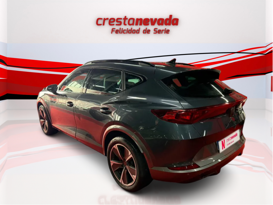 Imagen de cupra Formentor