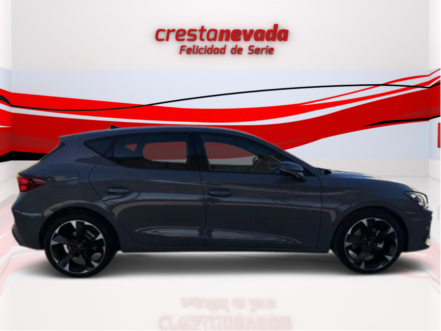 Imagen de cupra León