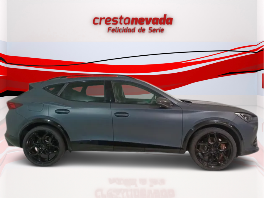 Imagen de cupra Formentor