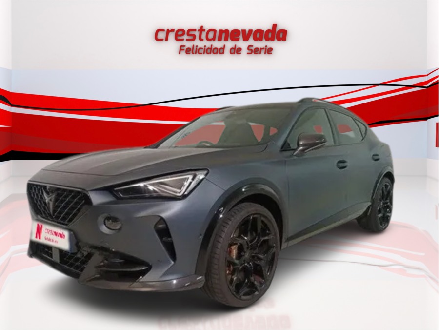 Imagen de cupra Formentor