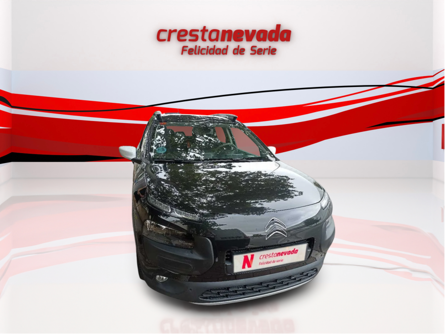 Imagen de CITROEN C4 Cactus