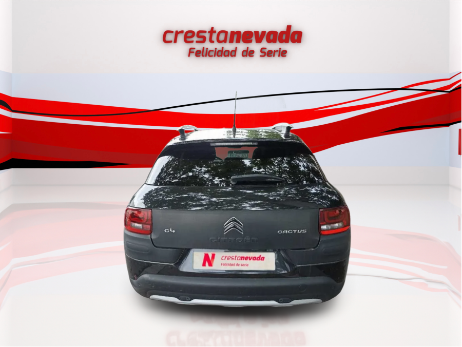 Imagen de CITROEN C4 Cactus