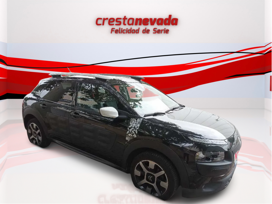 Imagen de CITROEN C4 Cactus