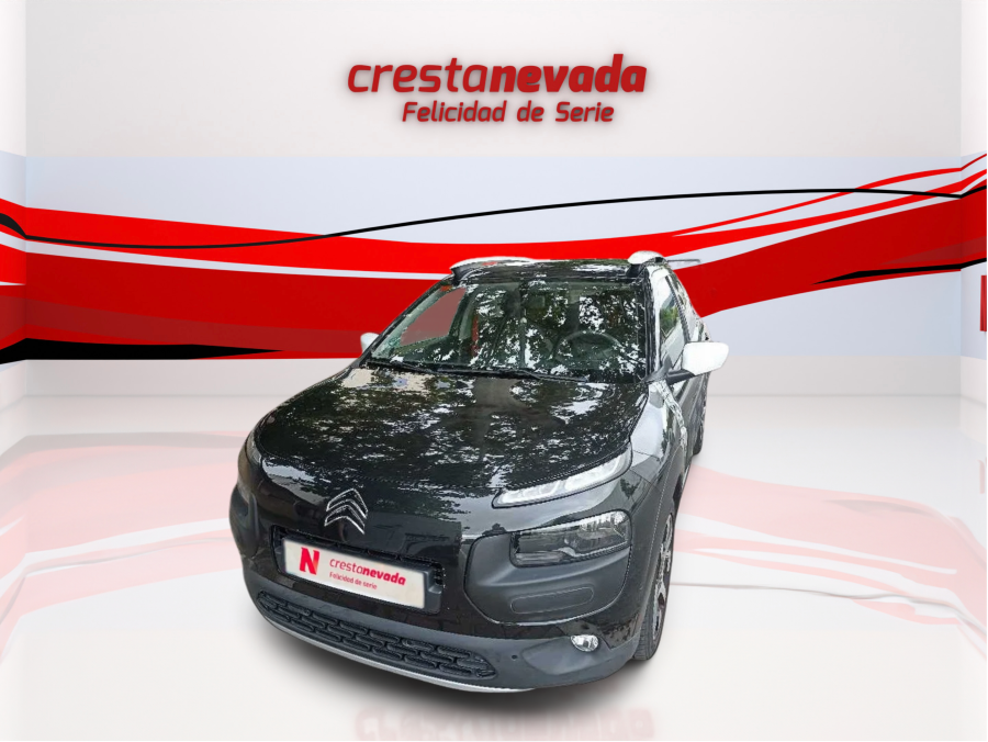 Imagen de CITROEN C4 Cactus