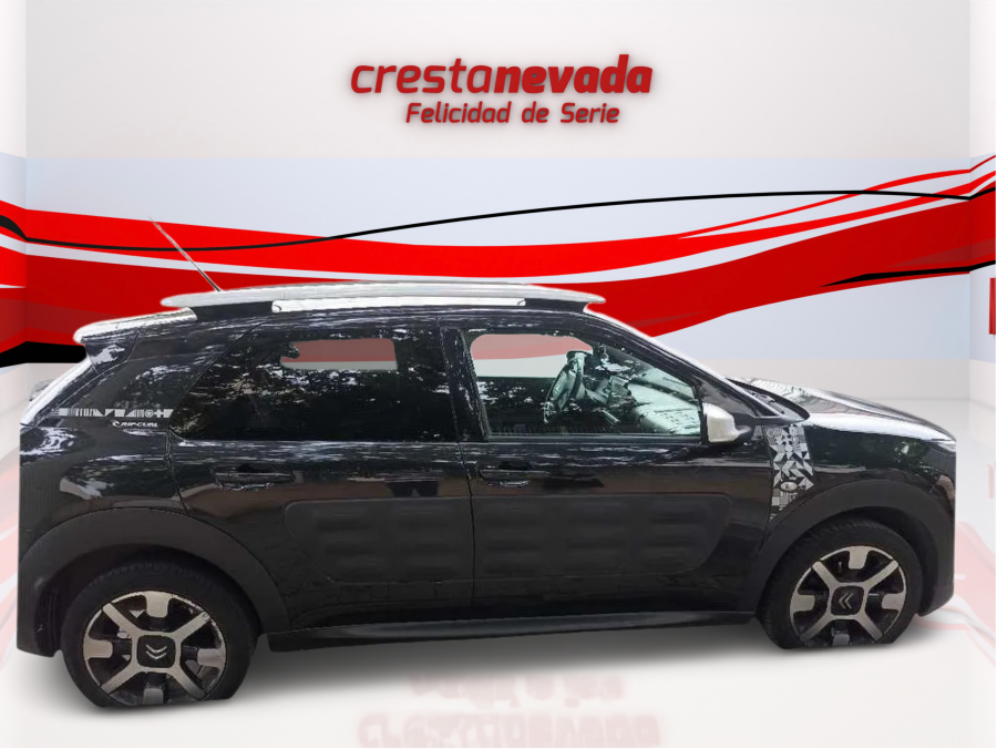 Imagen de CITROEN C4 Cactus