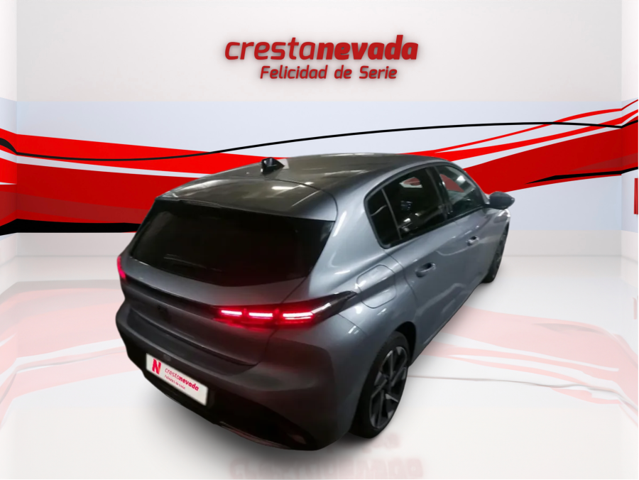 Imagen de Peugeot 308