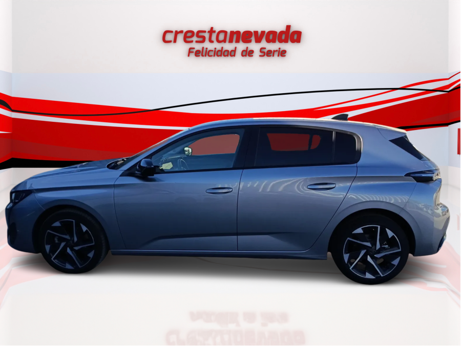 Imagen de Peugeot 308