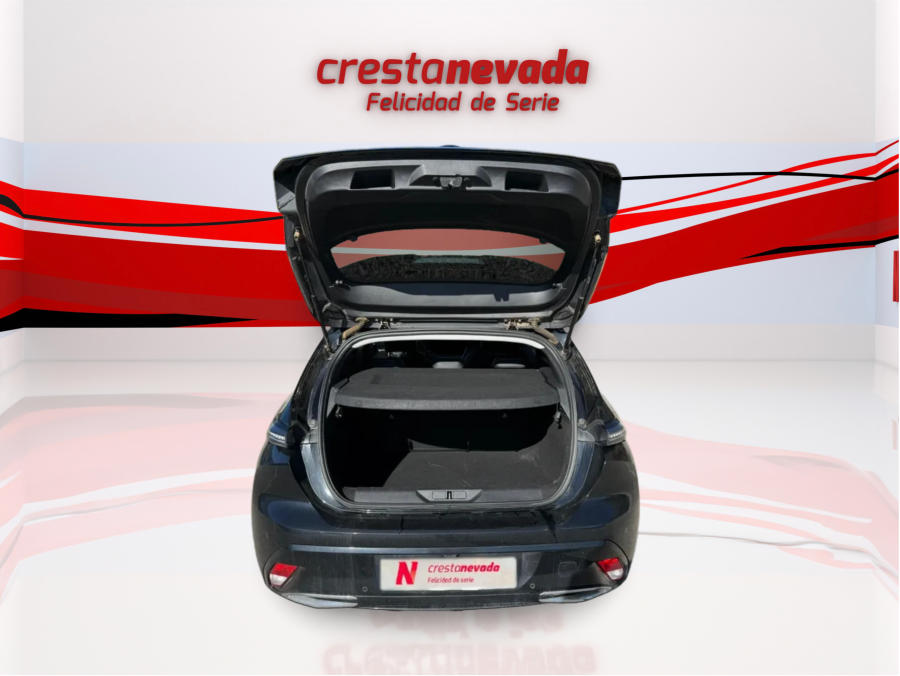 Imagen de Peugeot 308