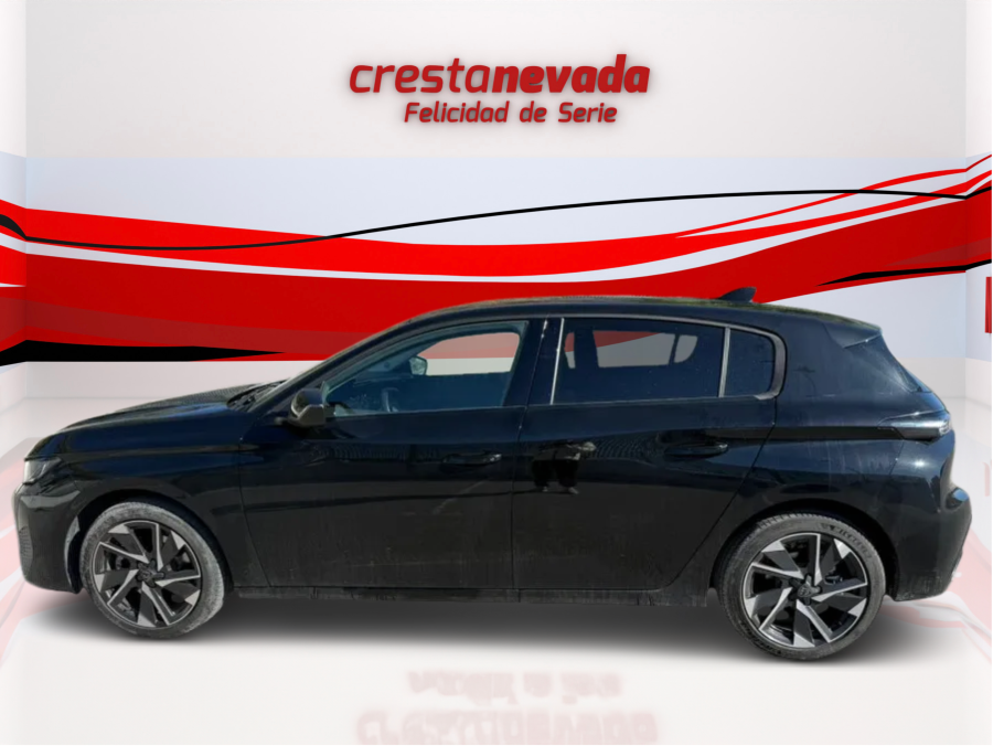 Imagen de Peugeot 308