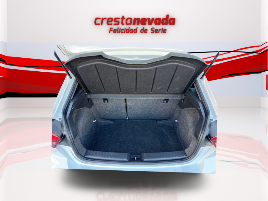 Imagen de SEAT Ibiza