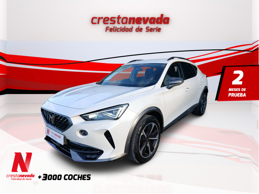 Imagen de cupra Formentor