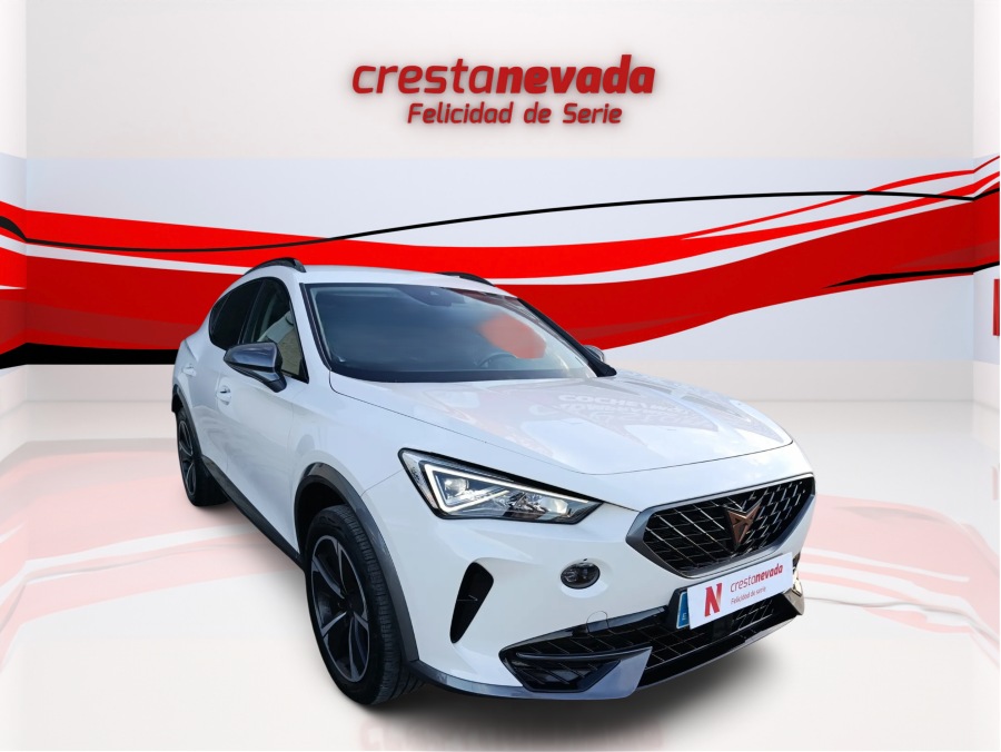 Imagen de cupra Formentor