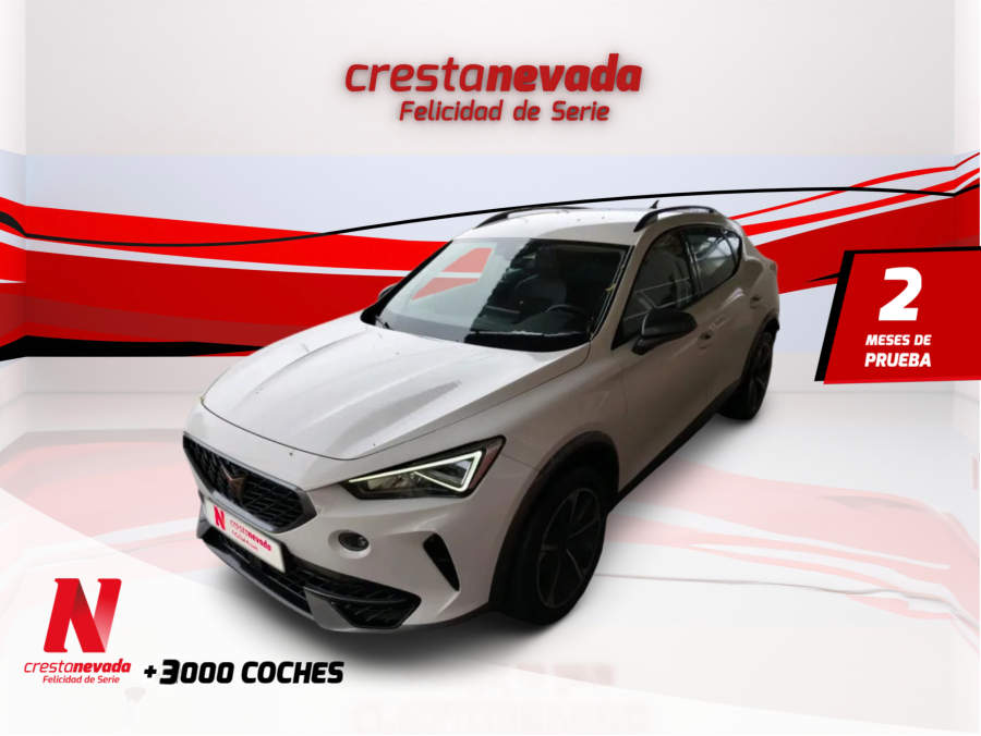 Imagen de cupra Formentor