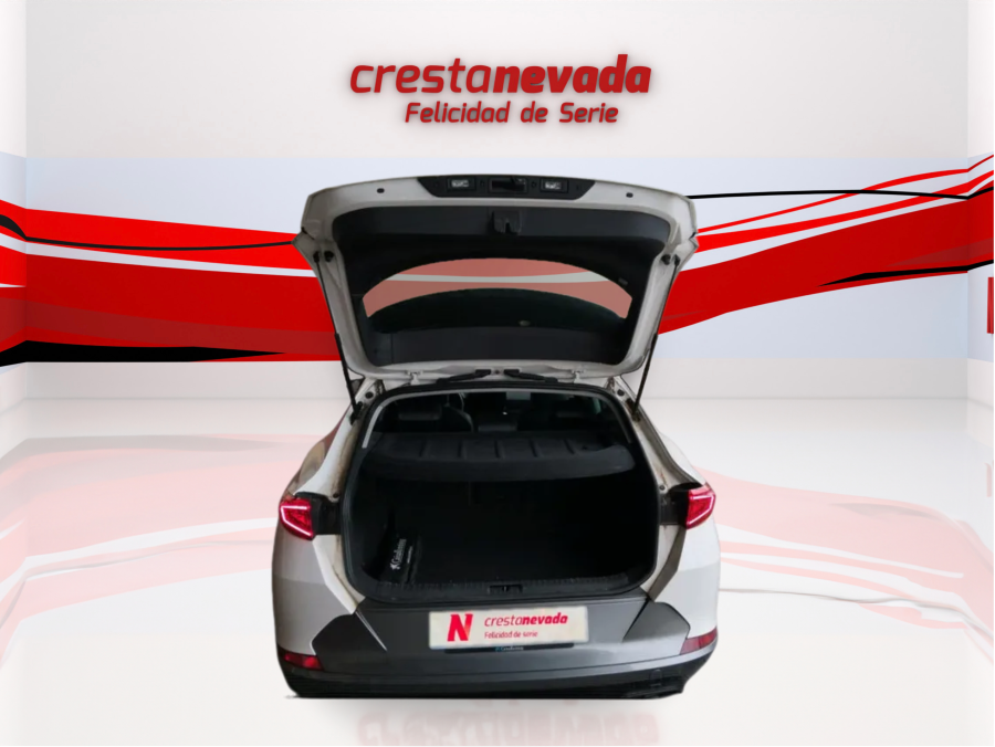 Imagen de cupra Formentor