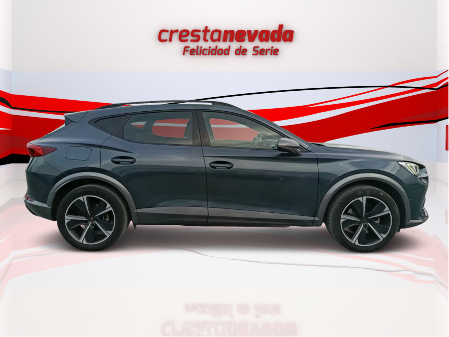 Imagen de cupra Formentor