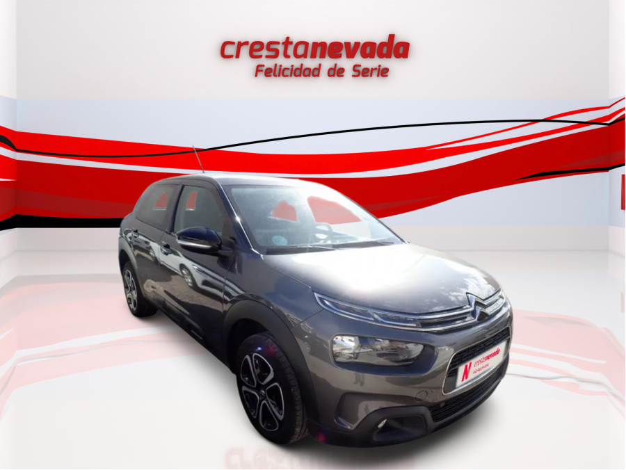 Imagen de CITROEN C4 Cactus
