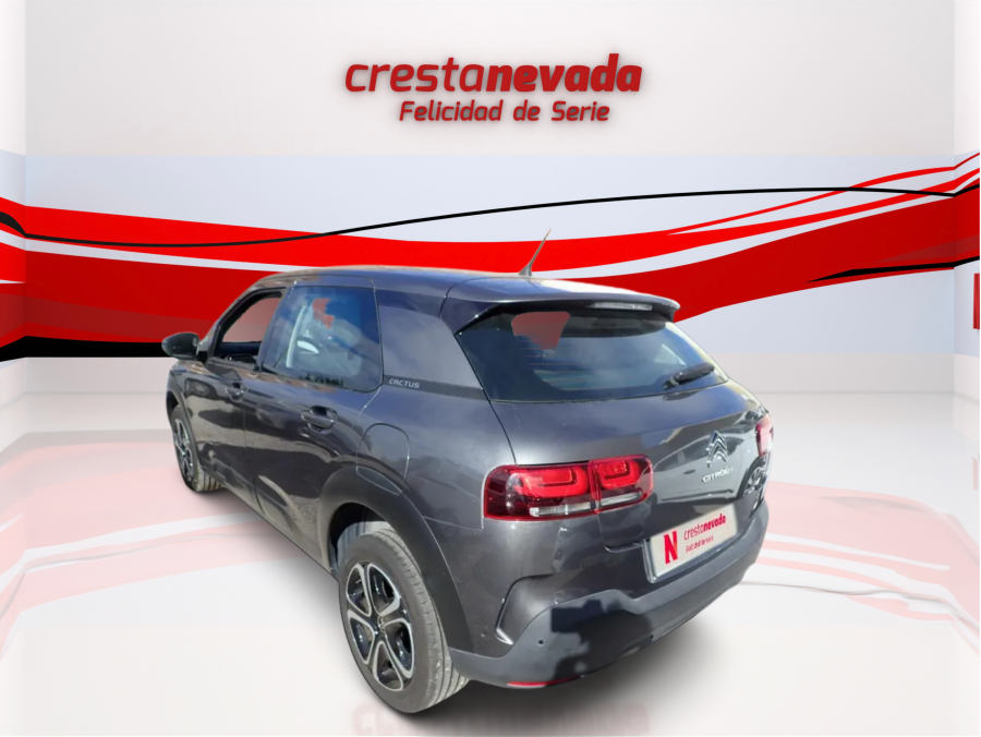 Imagen de CITROEN C4 Cactus