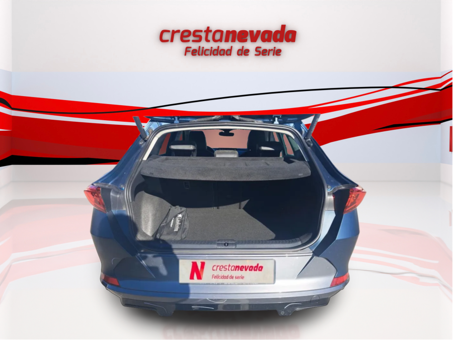 Imagen de cupra Formentor